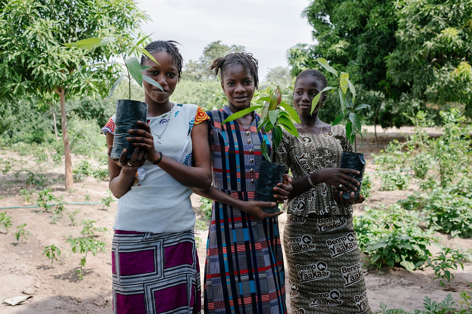 Three women plant trees in the desert.
