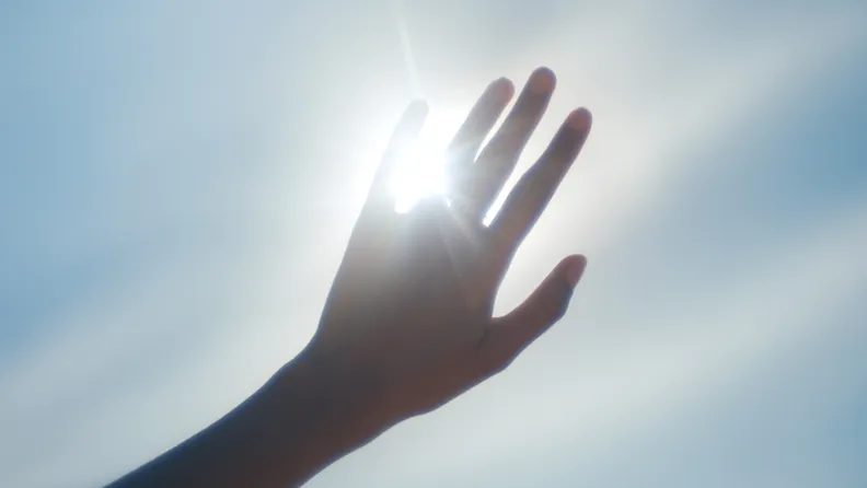 Eine Hand im Sonnenlicht. 